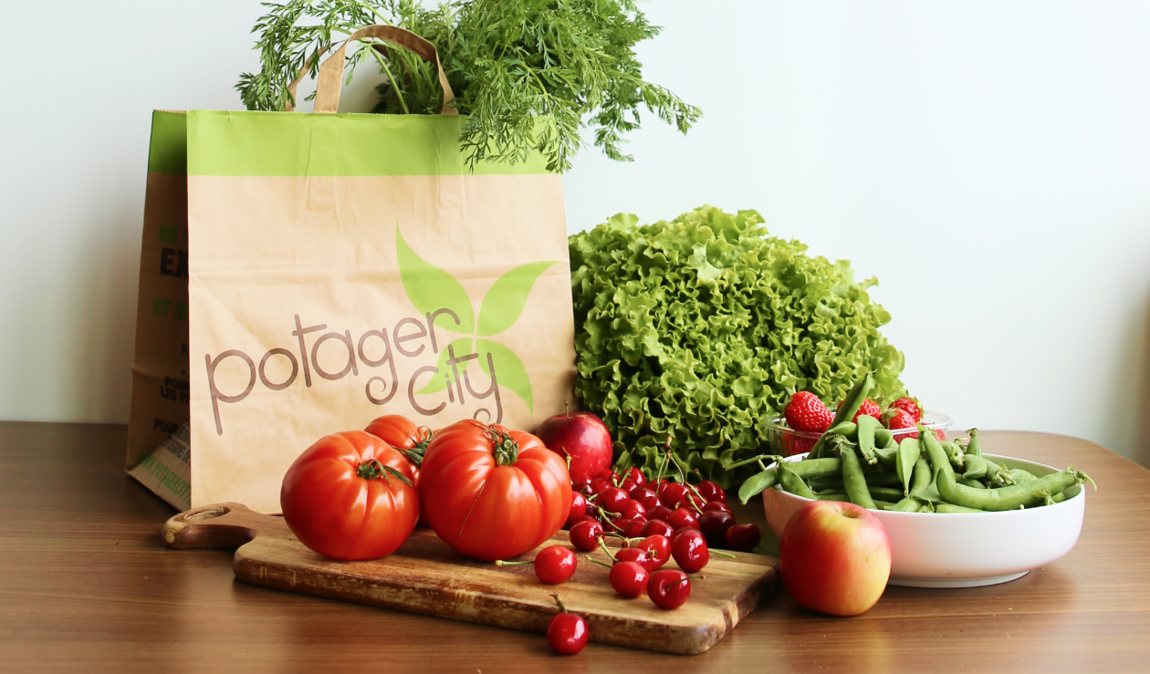 image Potager City