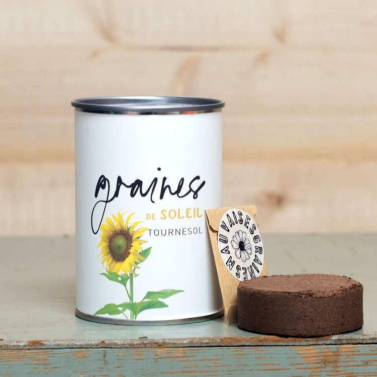 Kit à Semer Graines de Soleil - Blanc