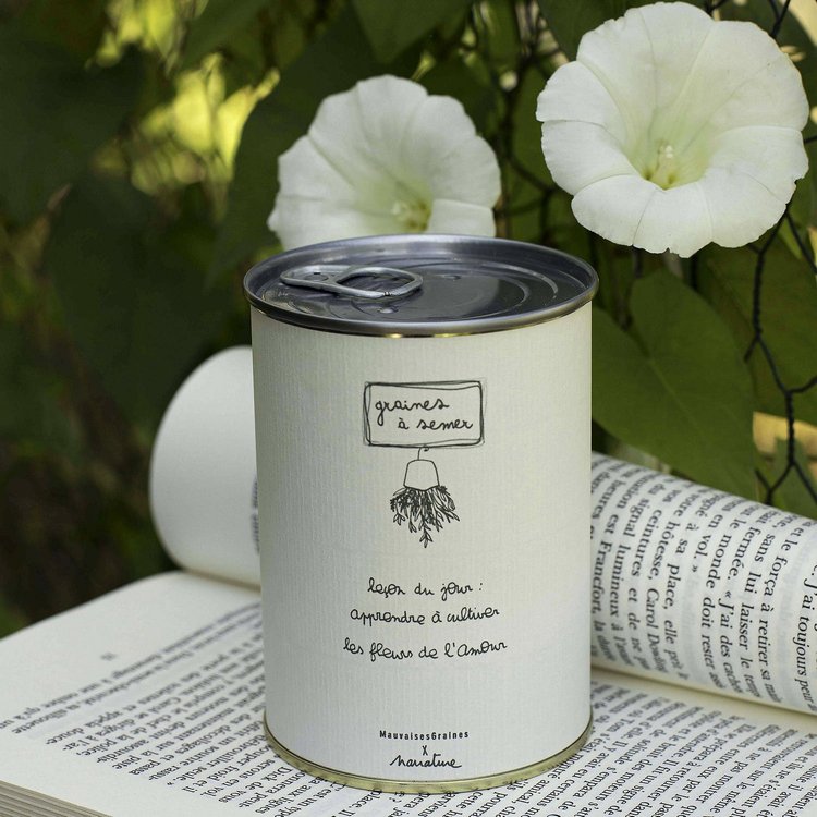 Kit à Semer - Leçon du Jour