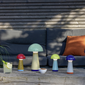 sm_image 1