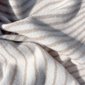 sm_image 3